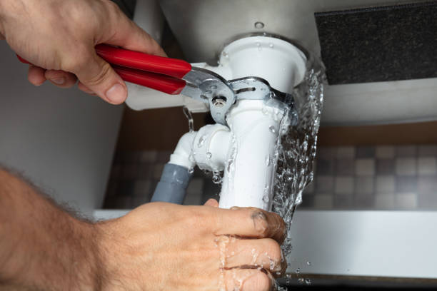 Best Carpet water damage restoration  in Risg Sun, IN