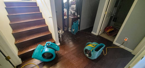 Best Water damage restoration near me  in Risg Sun, IN