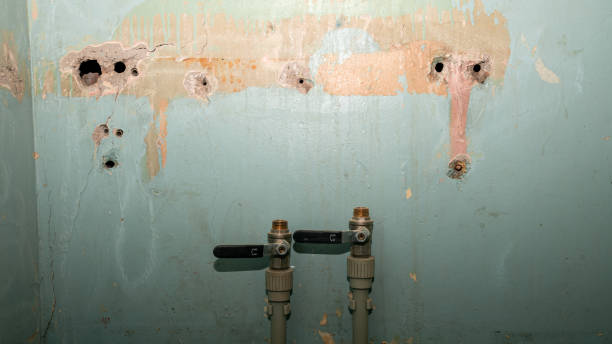 Best Water damage restoration services  in Risg Sun, IN